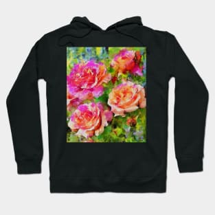 Stocksom Spring Garden 1 Hoodie